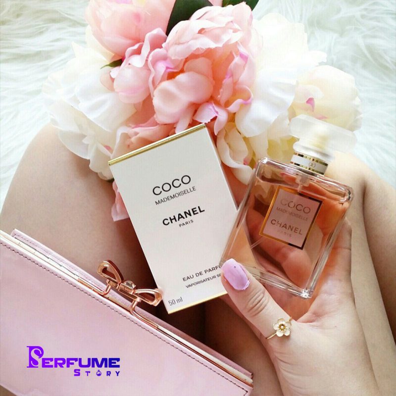 coco 6